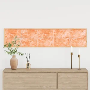 20 Piezas de Piedras de Sal 20x10x2,5 cm 23 kg Rosa V3420